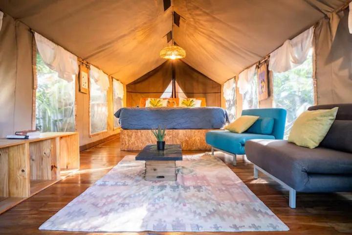 Curiol Boutique Hotel & Lounge Potrero  Ngoại thất bức ảnh