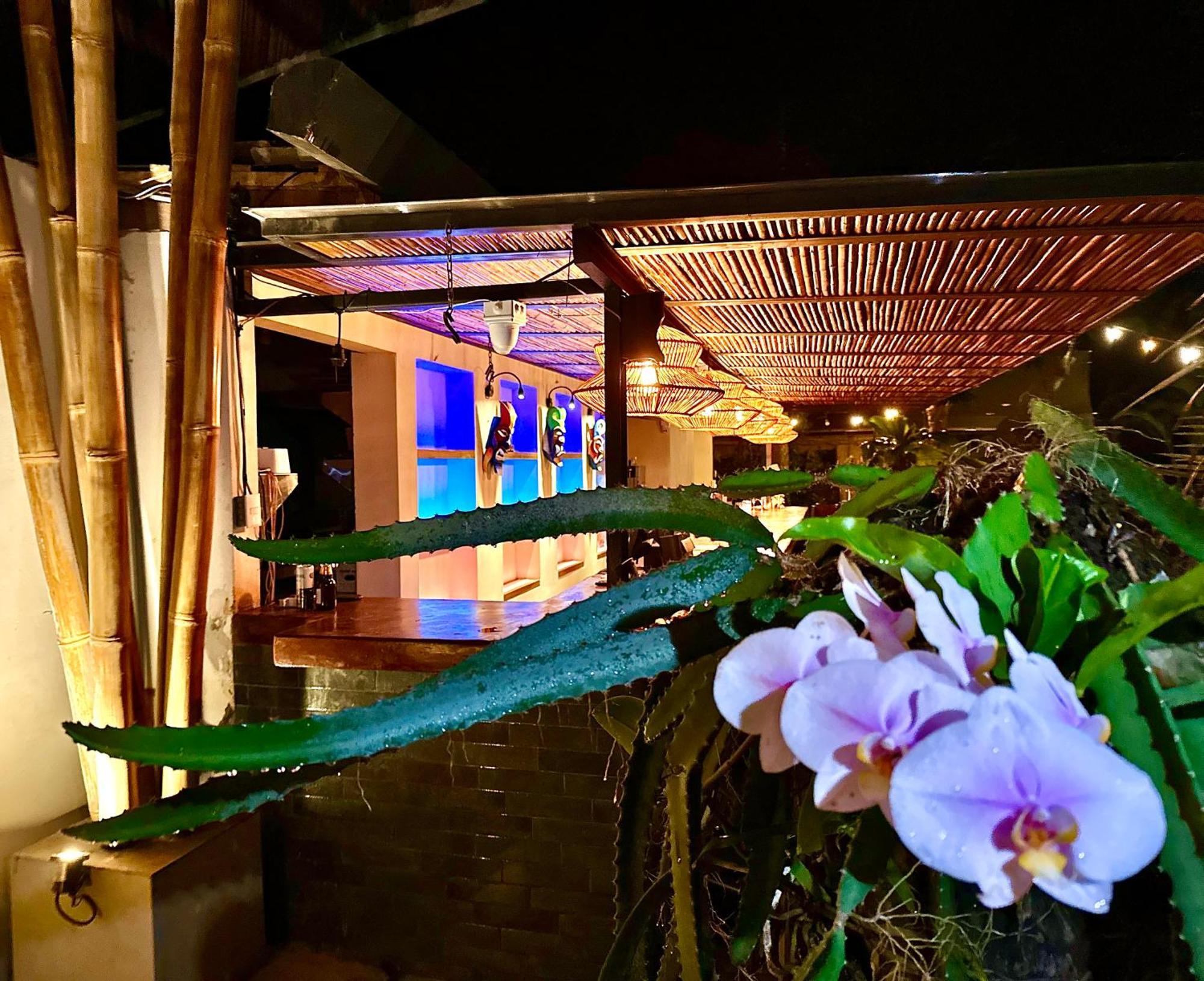 Curiol Boutique Hotel & Lounge Potrero  Ngoại thất bức ảnh